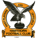 Hawthorn-past-player-icon-logo-removebg-preview